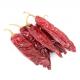 Smooth And Leathery Red Jinta Chilli Pepper 10-15cm Size