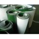 pvc conveyor belt/plastic conveyor belt High quality food grade green belt