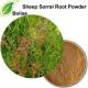 4/1 - 20/1 Plant Herbal Extract Sheep Sorrel Root Powder