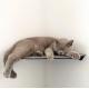 Keep Your Cat Active and Healthy with Yellow Floating Cat Wall Shelves Steel Perches