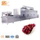 Electric Microwave Wood Drying Machine For Tea Flower Wood Temperature