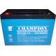 Champion 12V100AH AGM battery 12V110AH Lead Acid battery 12V120AH UPS battery