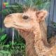 Artificial Realistic Animatronic Animals Customized Size Camel Controlled Remotely