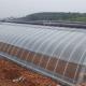 1209cm * 235cm * 239cm Film Greenhouse for Shading and Ventilation of Tomato Planting