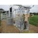 Hot Dipped Galvanized Cattle Head Bale 40x80mm Oval Rail Heavy Duty Cattle Crush Equipment