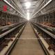 Most Popular H Type Automatic Poultry Farming Cage System For Large Farm Adela