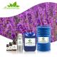 100ml Lavender Essential Oil 100% Pure French Lavender Massage Oil FDA OEM