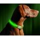 LED Dog Collar USB Rechargeable 2 Colors 3 Sizes