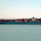 Global Ecommerce Logistics Services China To USA UK UAE Amazon Ddp Courier Service