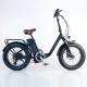 OEM logo Step Through 20 Inch Fat Tire Electric Bicycle For Women Outdoor Travel