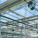 Double Layer Glass Greenhouse Hydroponic System with Multi-Span Technology Integration