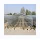 PE Tunnel Greenhouse for Hydroponic Tomato Cultivation Easy Assembly Length 10-100m