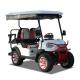 OEM 30mph Low Speed Vehicle Golf Cart 4 Passenger LSV CE Certificated
