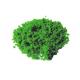 Tree powder for model tree are tree sponge ,tree foliage spongeT-1007