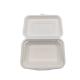 Single Compartment Biodegradable Clamshell Box Disposable 8in 9 Inch