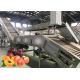 Multiple Use Safety Peach Processing Plant High Extracting Rate 1000 T/Day