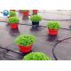 PP Woven Ground Cover Garden PP Woven Weed Barrier Control Mat Landscape Fabric