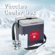 1.5L 1.7L Vaccine Cooler Box Ice Chest Cooler Box With Removable Lid