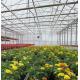 US Currency Single-Pan Hydroponic System for Greenhouse Vegetable Farming Performance
