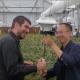 Android Photovoltaic Wireless PH Sensor Greenhouse Monitoring System