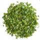 Hot Air Dried Vegetables Dehydrated Chives Green Color Natural Food Grade