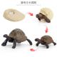 Elephant Tortoise Life Cycle Figure Model Toy For Boys Girls Kids