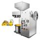 2023 Hot Sale Modern Mini Moringa Castor Seed Cold Press Oil Extraction Machine Coconut Oil Press Machine For Home Use