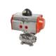 Hard Anodized Double Acting Pneumatic Rotary Actuator
