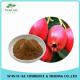 Anti Aging Fresh Hawthorn Extract Hawthorn Flavones
