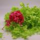 Beautiful multicolored Preserved Flower Hydrangea Bouquet Wholesale Preserved Foliage Preserved Big Leaf