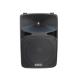 300W 15'' Woofer USB Flash Portable Stage Stereo Plastic Active PA Speaker With Microphone