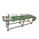 SS304 Stainless Steel Variable Frequency Belt Coding Conveyor