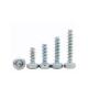 DIN Standard Steel Torx Pan Head Self-Tapping Screw for Accepting Customer Designs