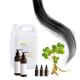 Vegetative Shampoo Fragrances Essential Oil For Hair Conditioners Hair Oil Perfume
