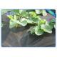 Water Permeable Garden Fabric Agriculture Non Woven Cover Weed Suppressant Membrane