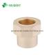 Round Head Code Pn16 CPVC Female Thread Adaptor Water Supply Type 90°Tee Lateral