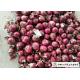 Juicy Sweet Red Onion 10 Kg / Bag Packing White Flesh For Cooking