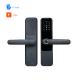 5VDC TTlock Smart Lock Biometric Keyless Smart Door Lock Wifi App Control