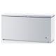 Manual Defrost Chest Freezer Large Capacity 650L Metal Painted
