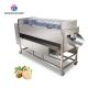 580KG Add large melon and fruit cleaning peeling machine large yield potato peeling machine taro peeling machine