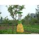 Solar Insect Killing Lamp for farm