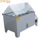 48hrs~1000hrs Salt Spray Test Chamber with 95%RH Humidity for Quality Control