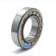 Cylindrical roller bearing 35*62*14mm NU1007M NU1007ECP  NU1007C3  CHROME STEEL Material