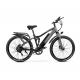 27 / 29 Inch Electric Mountain Bike With 750W Motor 48V 17Ah Lithium Battery