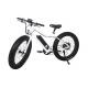 35 Miles Male Electric Bike 48V 750W Bafang Rear Brushless Motor