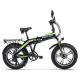 Electric Folding City Bike Commuter 20 500w 4.0 Super Wide Tire 48v 9.6Ah RICH BIT 016