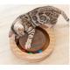 Catnip Inside Cardboard Cat Toys , Interactive Kitten Toys Humidity Under 14%