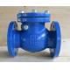 Ductile Iron Flanged Brass Seat Swing Check Valve with Customized Port Size Non Return