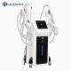 Best selling four cryo handles work together body slimming cryolipolysis cool slimming beauty machine for fat reduction