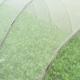 Fish Farming  Agricultural Nets, insect netting, anti insect net